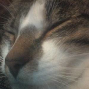 Meet your Posher, Dan